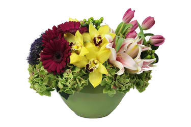 A Special Thank You   - Filled with an arrangement filled with antique hydrangeas, yellow cymbidiums, hot pink tulips, and stargazer lilies. 