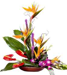 Tropical Bali   - Fun and elegant design with premium tropical flowers including birds of paradise, anthurium and orchids. Keepsake wooden tray imported from Bali (style may vary). 