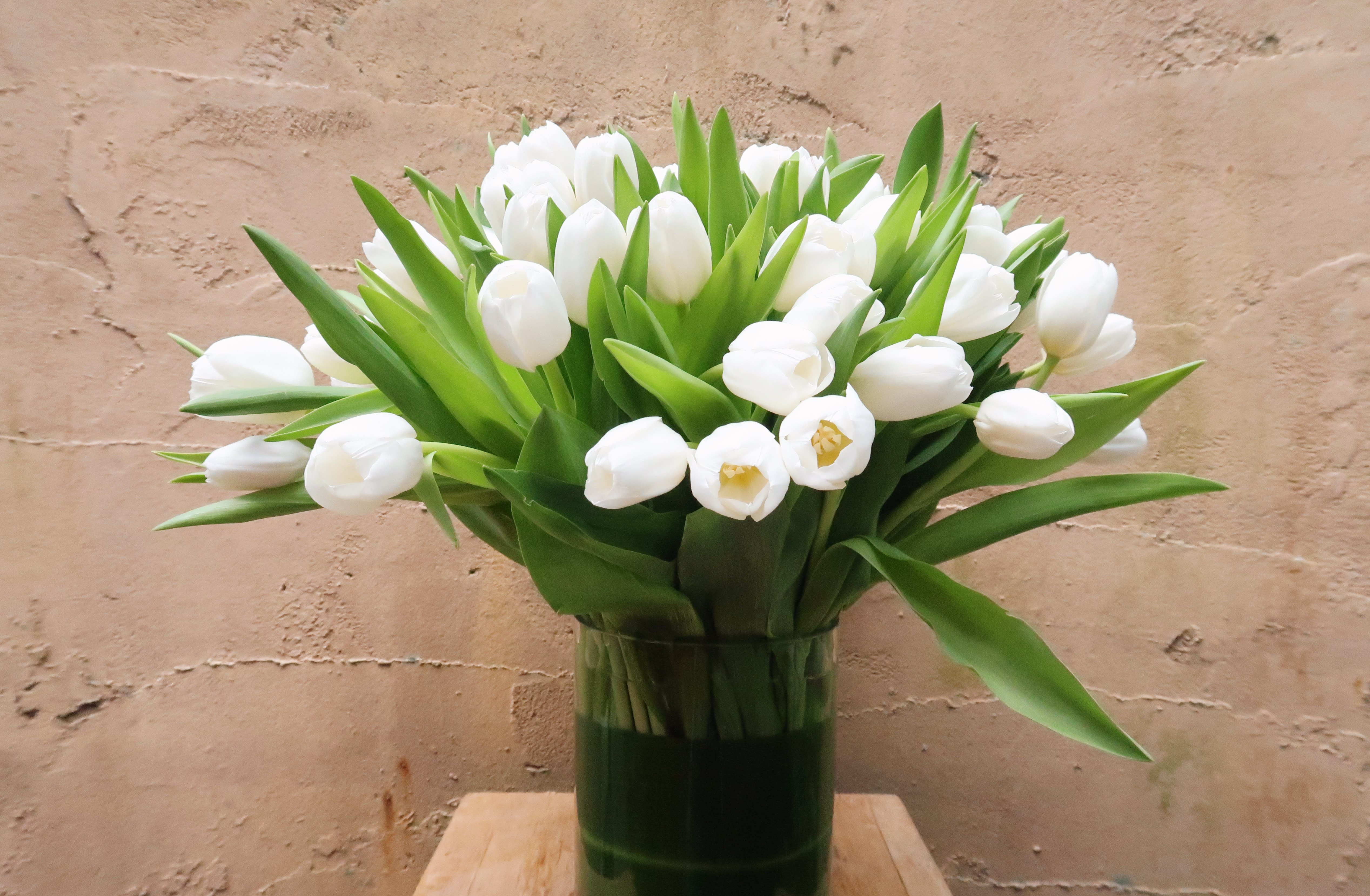 White tulips arranged in a clear glass vase