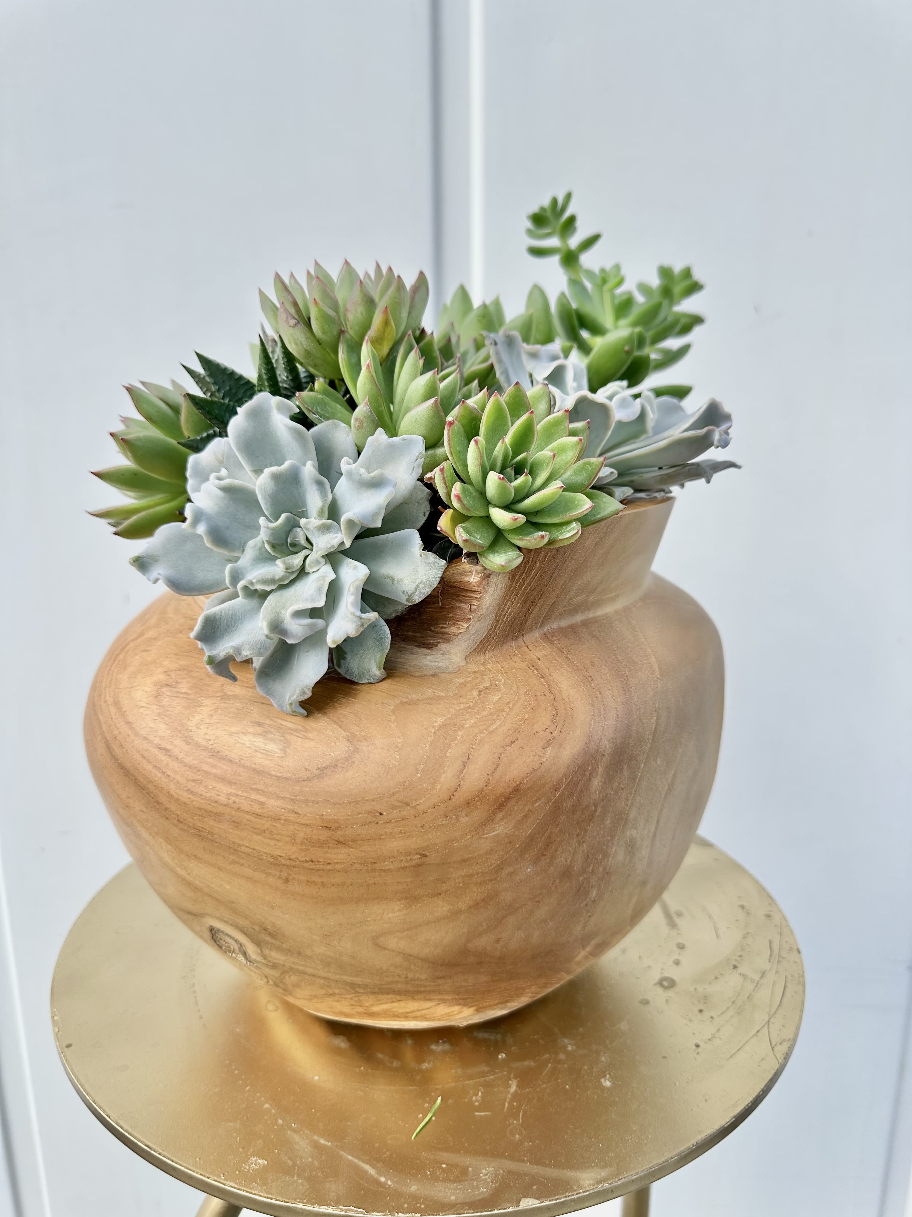 Zenscape - Zenscape is a tranquil, nature-inspired arrangement that brings a sense of calm and balance to any space. A curated collection of sculptural succulents—ranging from soft, silvery rosettes to vibrant green clusters—creates a harmonious blend of texture and form. Each plant is thoughtfully placed to evoke the quiet beauty of a desert landscape.  Nestled in a smooth, hand-carved wooden vessel, Zenscape highlights the warmth of natural materials while maintaining a clean, modern aesthetic. Its low-profile design makes it perfect for coffee tables, desks, or shelves, offering a subtle yet striking focal point.  Minimal, grounding, and effortlessly elegant—Zenscape is a living piece of serenity designed to soothe and inspire.  ***Limited quantity available***