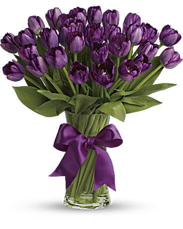 Bunch of purple tulips arranged in a clear glass vase with a purple ribbon bow