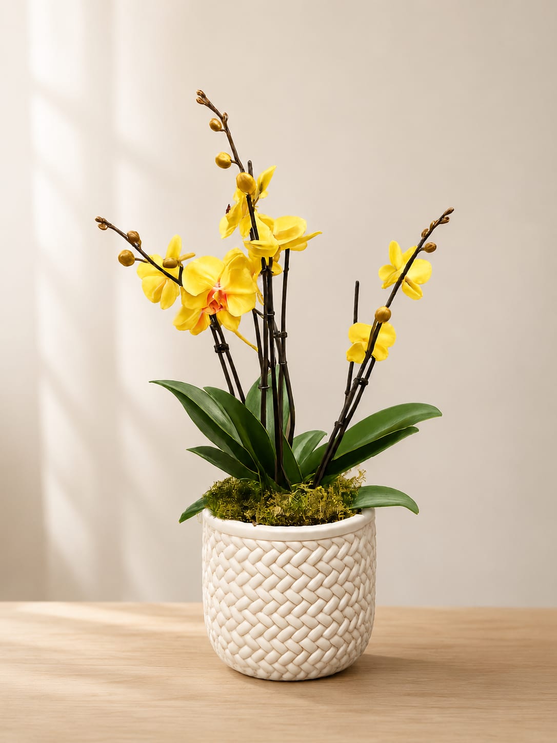 Yellow orchid plant in a white woven pot
