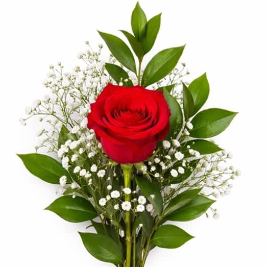 Single red rose with baby's breath and greenery