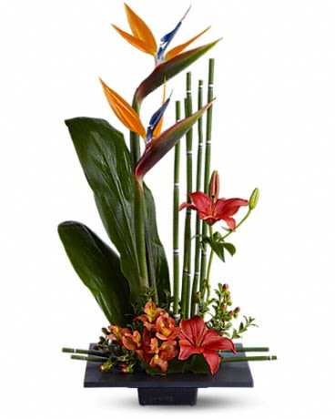 Tropical arrangement with birds of paradise and red lilies in a low black rectangular container
