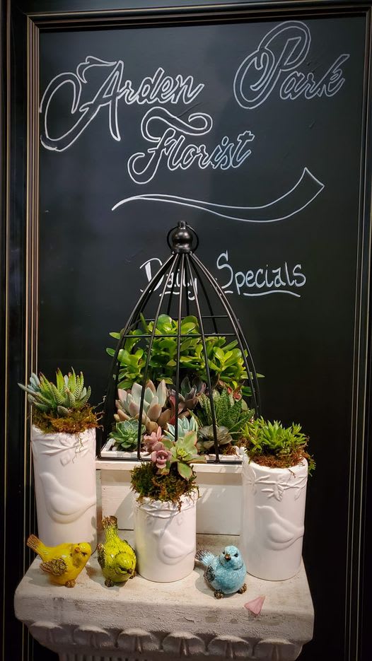 Succulent garden in white bird-embossed pots and a black cage with small colorful bird figurines below