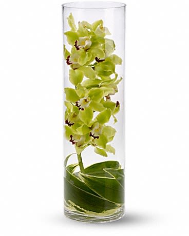 Tall cylinder vase with green cymbidium orchids and wrapped leaves at the base