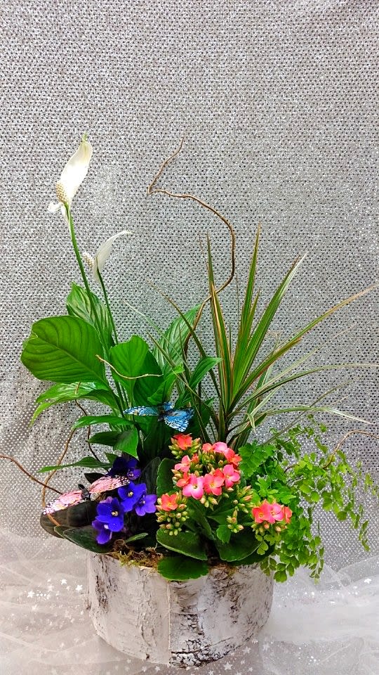 Tropical arrangement with white calla lilies and pink blooms in a birch-style container
