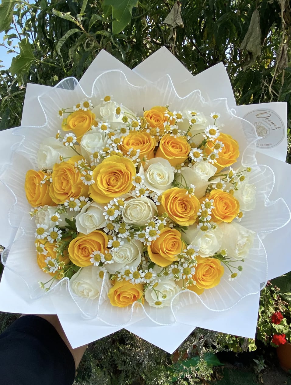 Bouquet of yellow and white roses with small daisy flowers wrapped in white paper