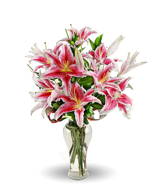 Pink stargazer lilies arranged in a clear glass vase