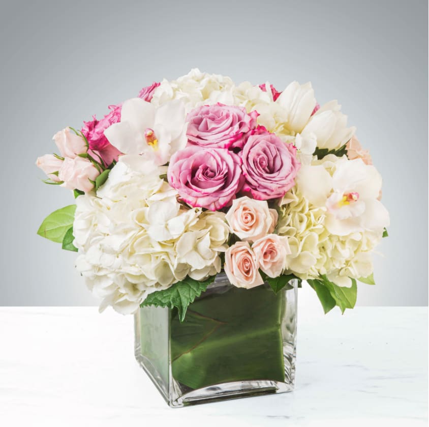 Pink roses and white hydrangeas in a square glass vase