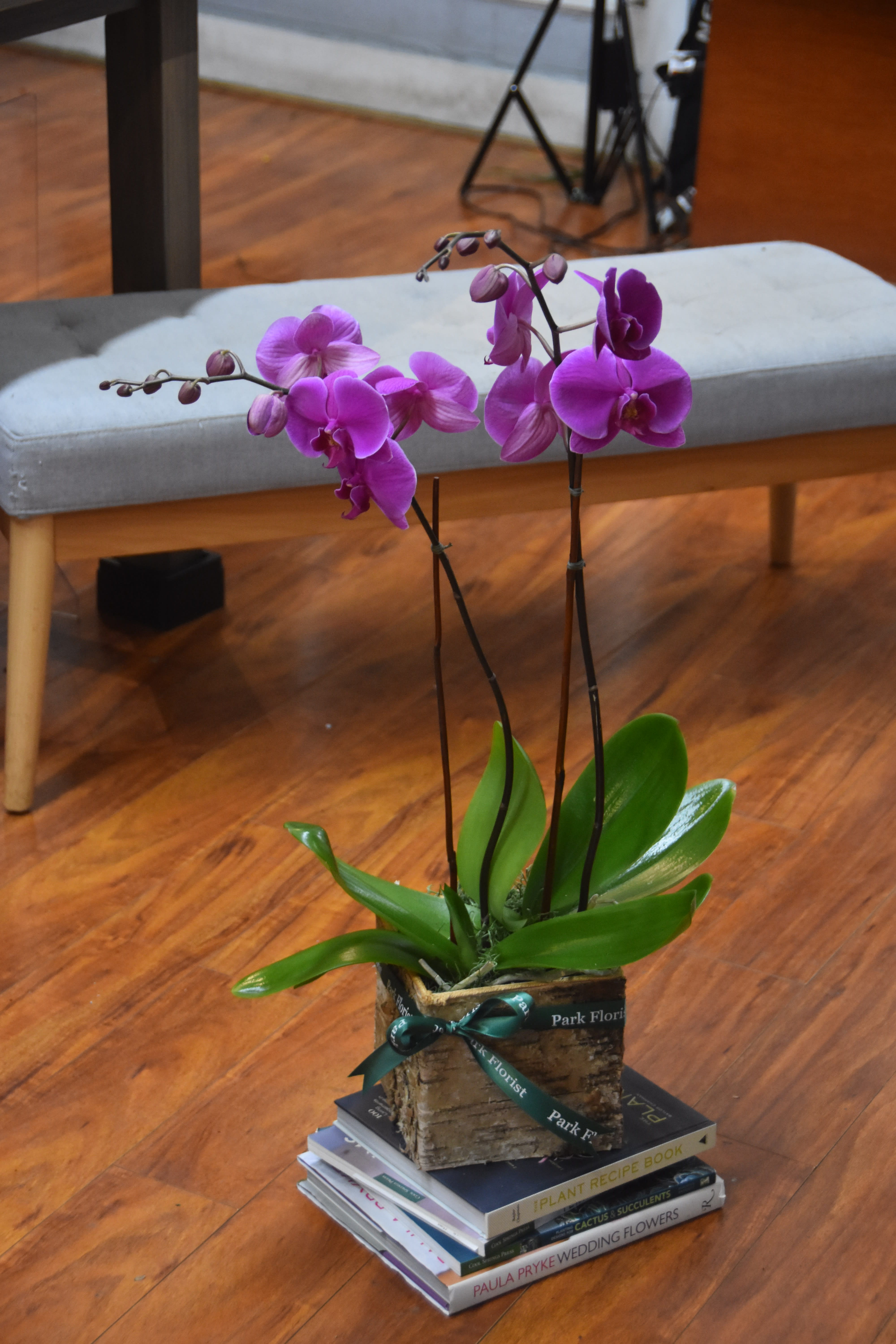 Potted purple orchids in a rustic planter set on a stack of books indoors