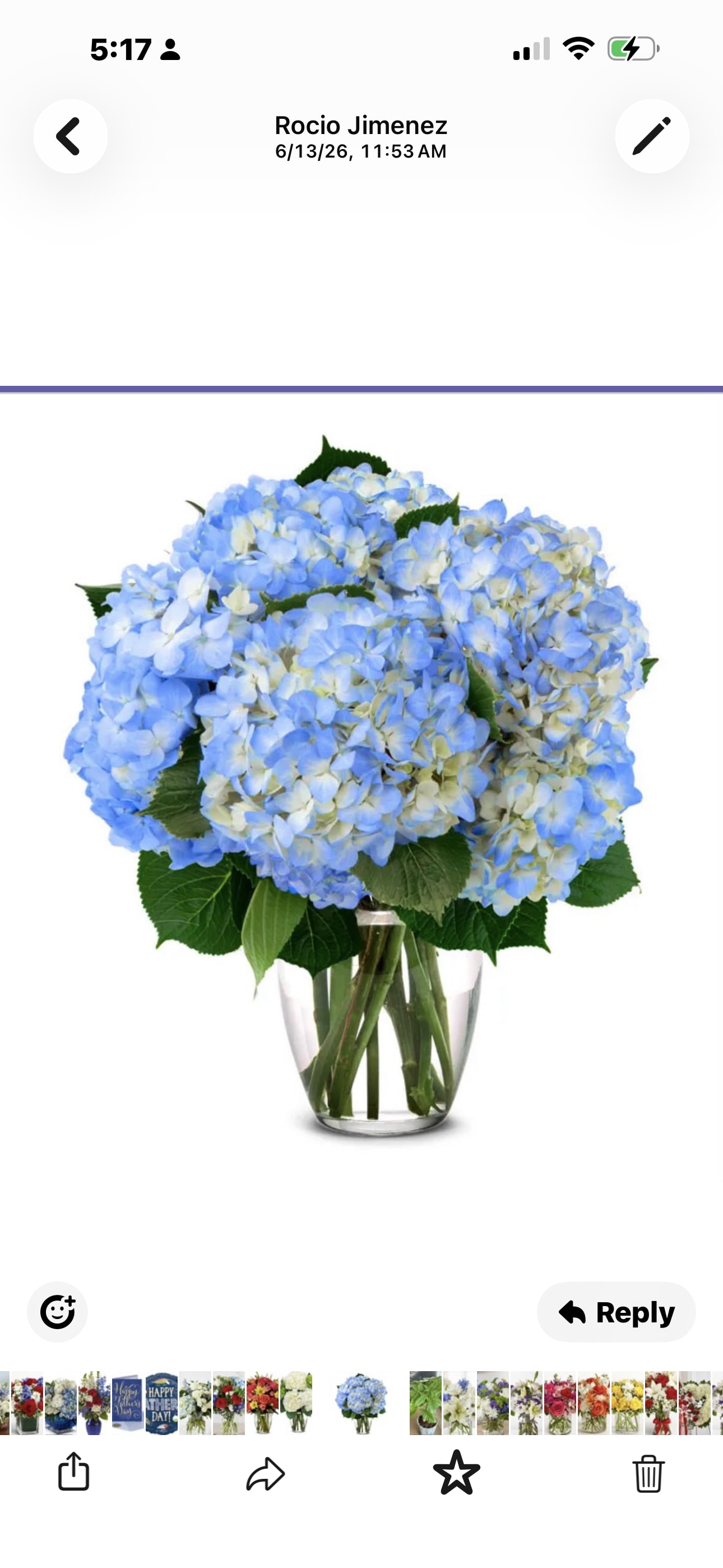 BLUE IN THE SKY - Medium teddy