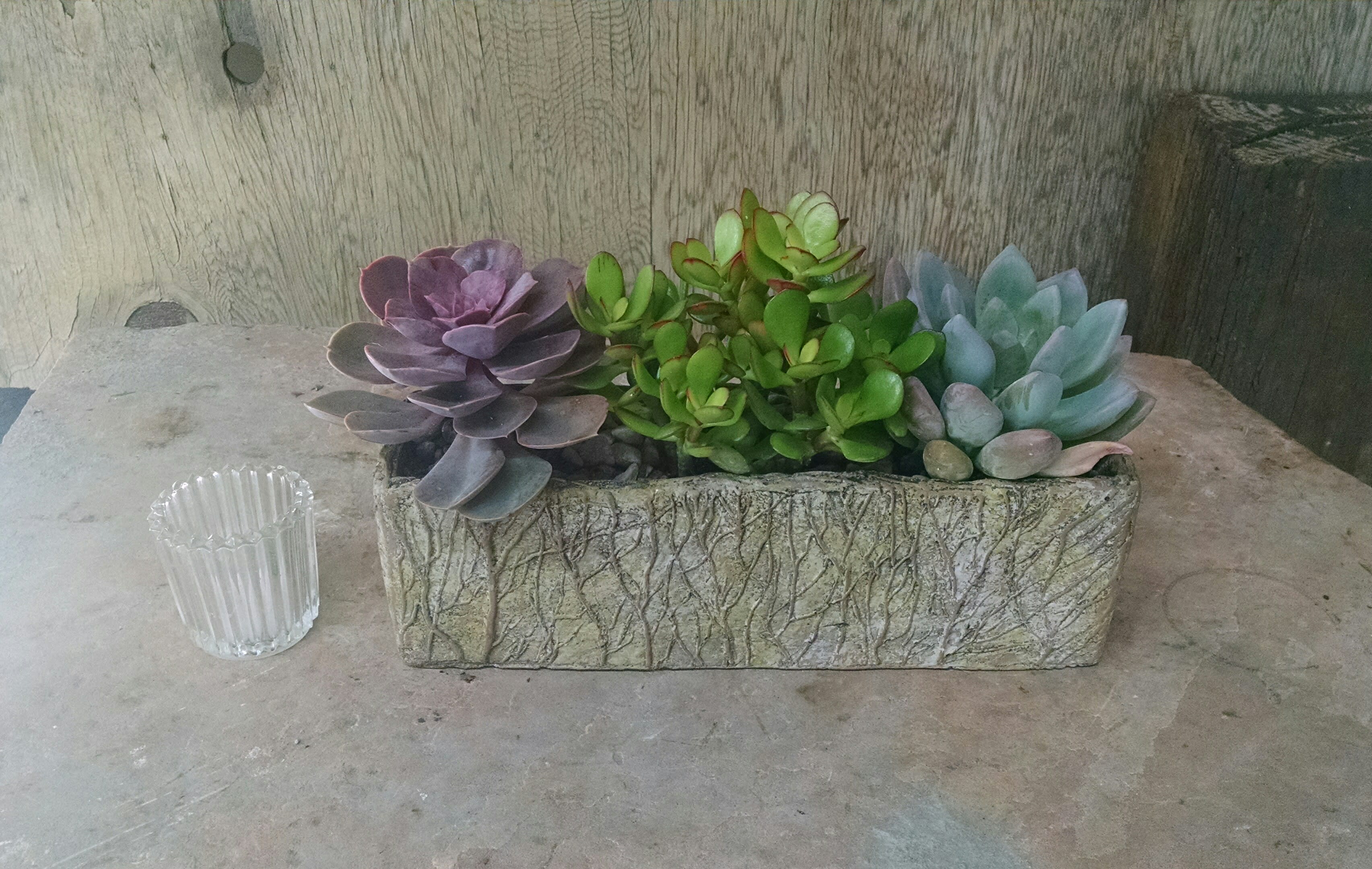 Succulent arrangement in a rectangular stone planter beside a small glass votive holder