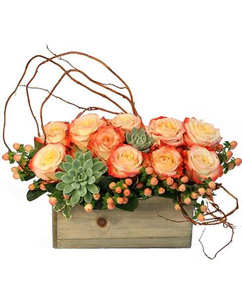 Peach roses and succulents arranged in a wooden box