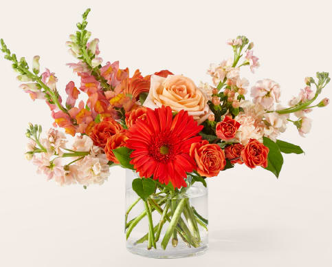Paloma Please Bouquet - Playful yet polished. Paloma Please brings a refreshing mix of peach stock, orange spray roses, carnations, snapdragons, and bright gerbera daisies, arranged in a clear glass cylinder for a clean, modern finish.  Send this to brighten up someone’s space, or their whole week.  Approximately 14"H x 16"W.