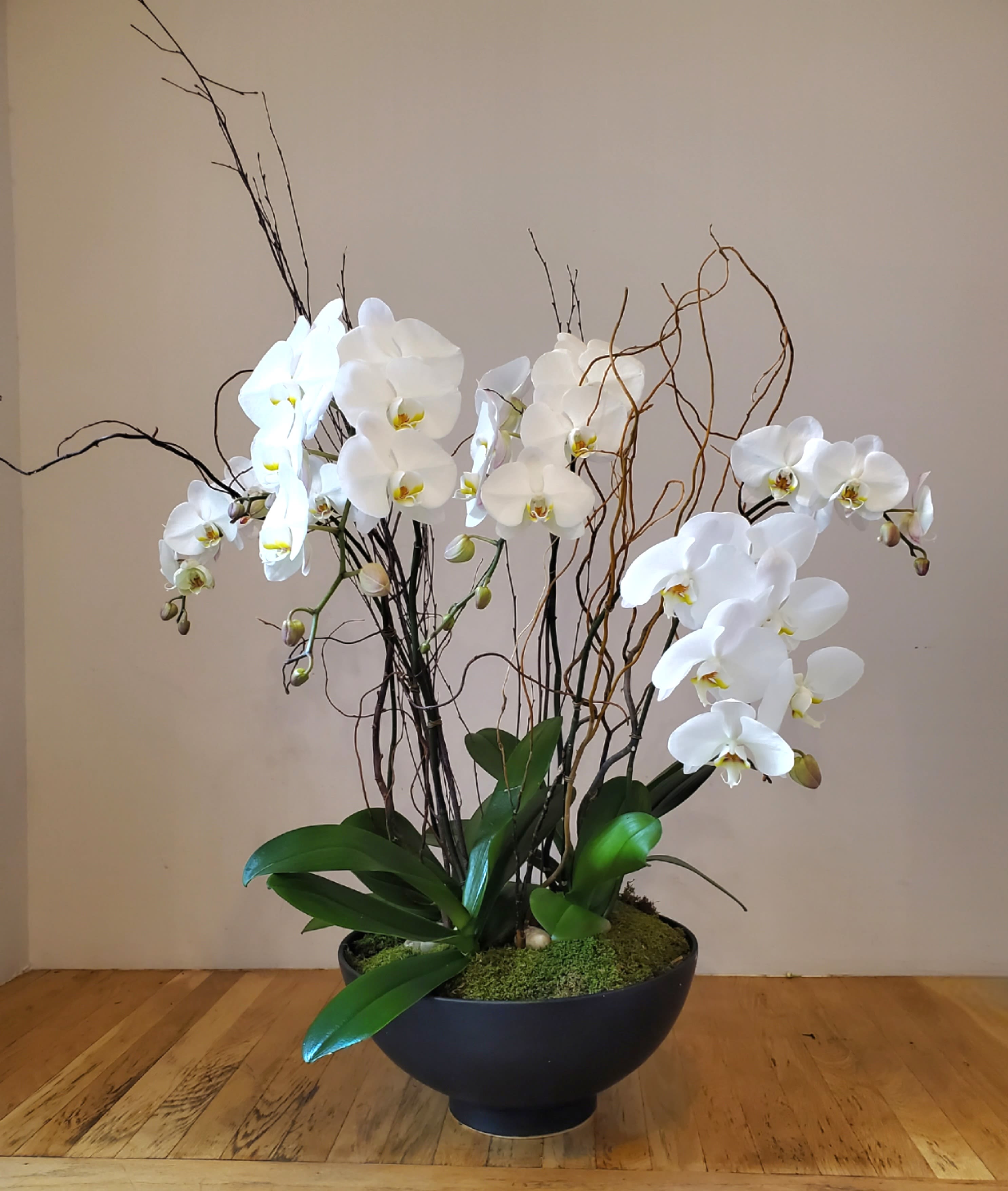 White orchids arranged in a black bowl planter with decorative branches.