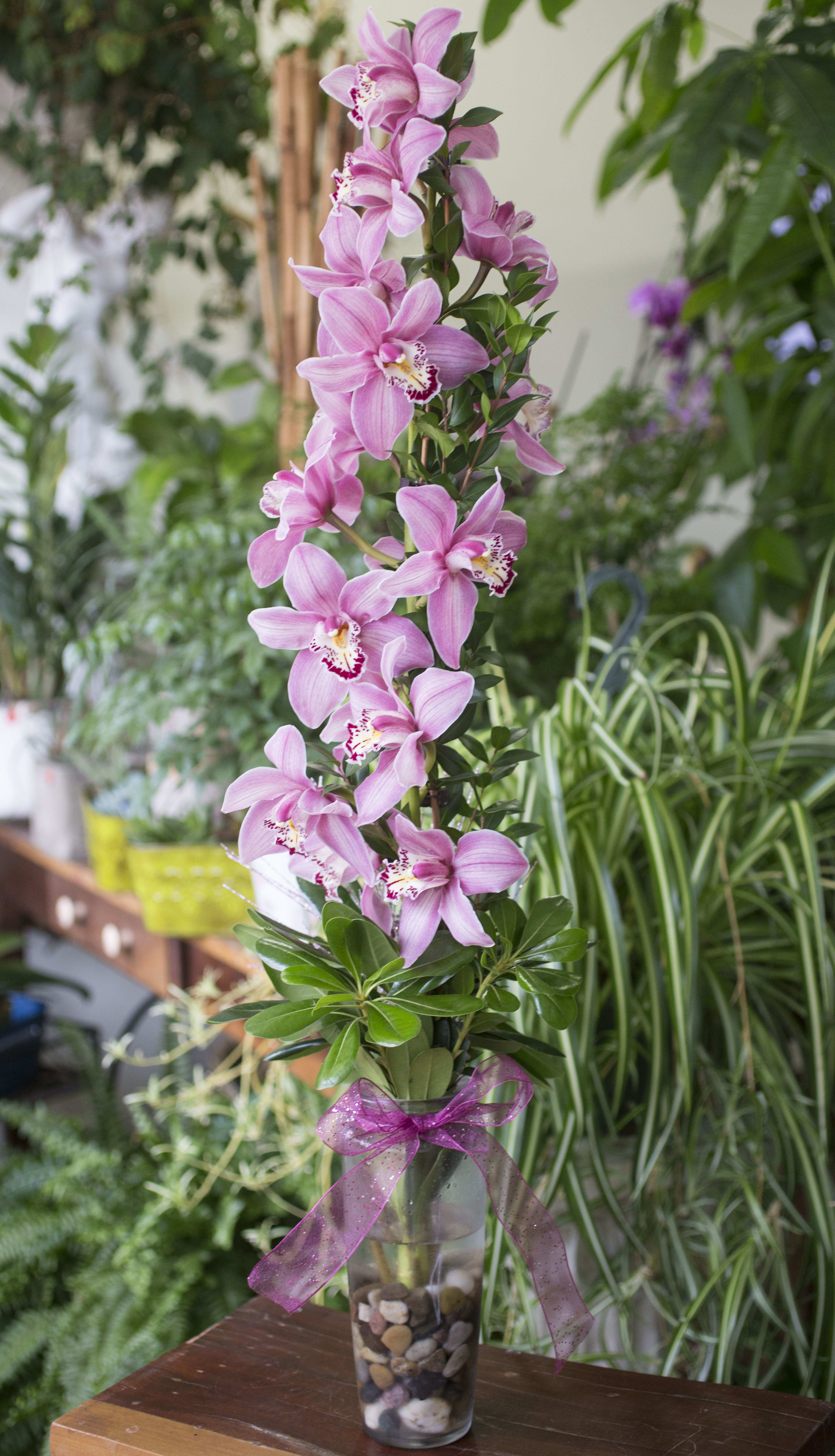 Pink orchids arranged in a clear glass vase with a purple ribbon