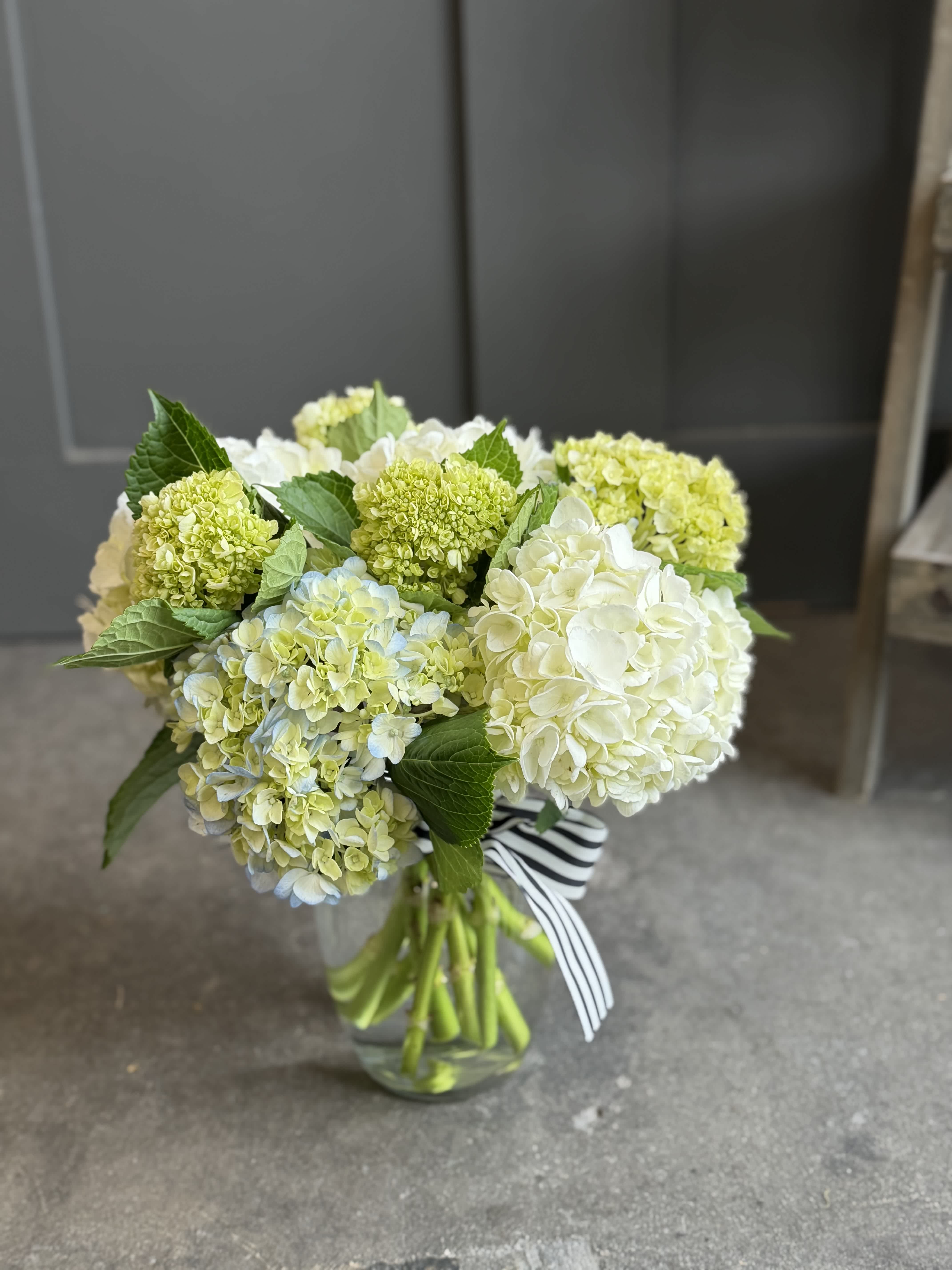 Bouquet of pale green and white hydrangeas in a glass vase with a striped ribbon