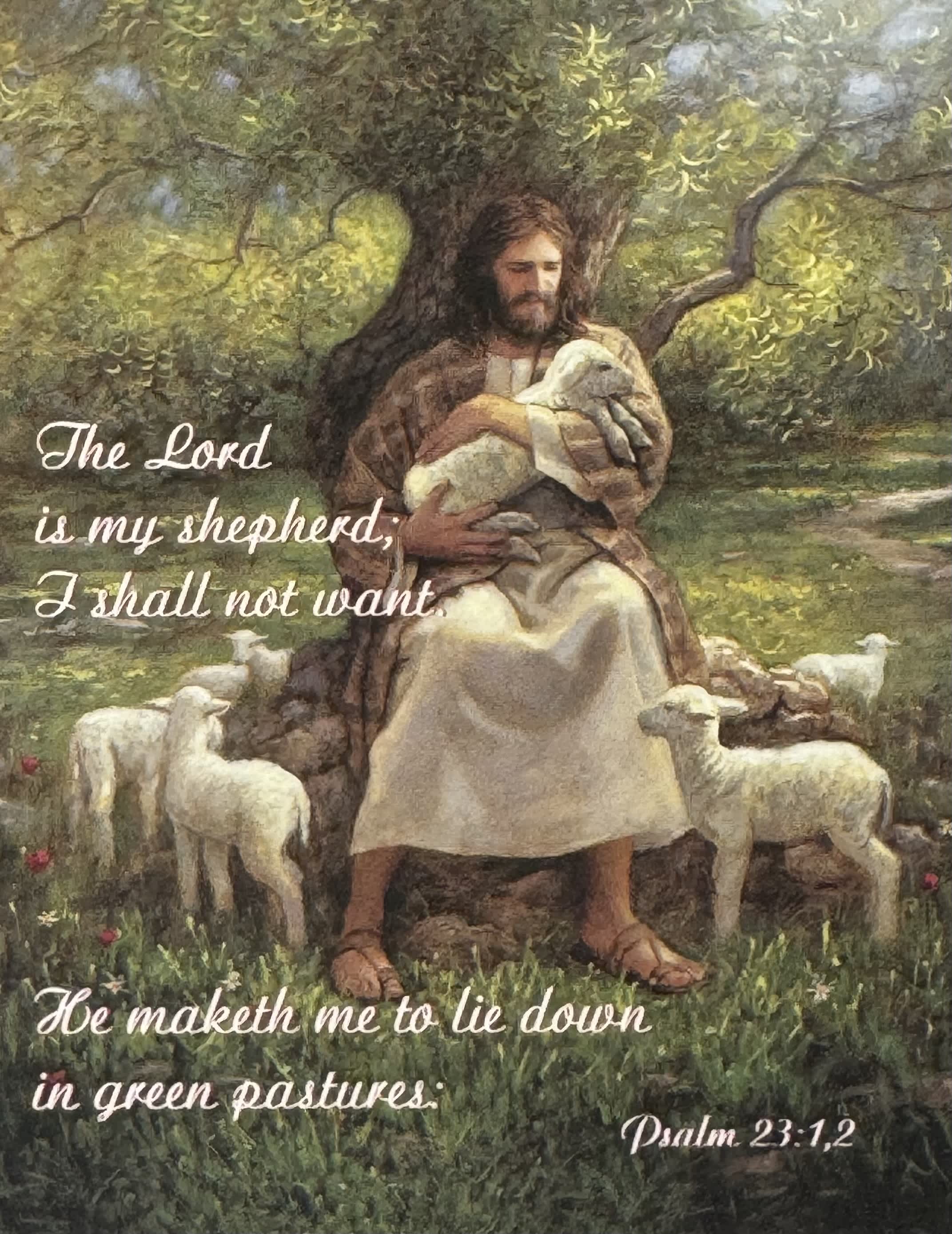 Religious artwork of a robed man holding a lamb, seated under a tree with sheep around him.