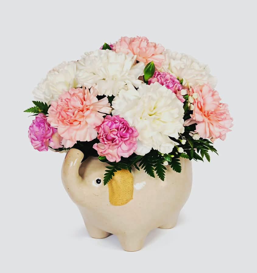 Pastel pink, peach, and white carnations arranged in a cream ceramic elephant container