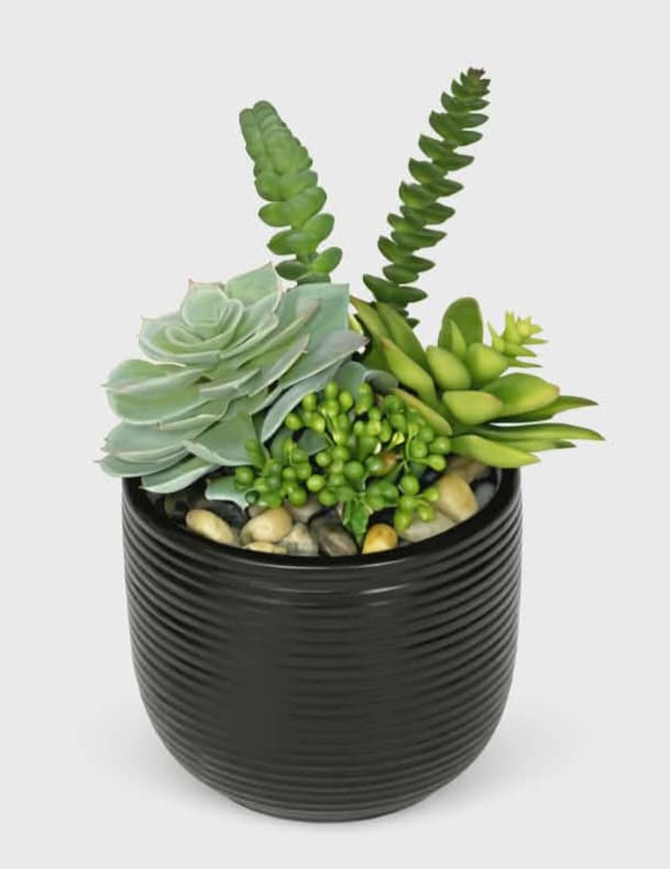 Artificial Succulent Arrangement  - A variety of silk succulents are arranged in a 5" black ceramic pot. This everlasting arrangement will be the perfect touch to any home or office! 5" W 8" T 