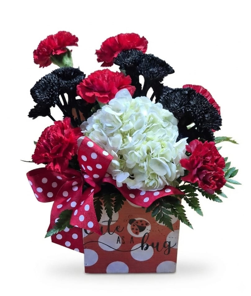 Red and black carnations with white hydrangea in a decorative box