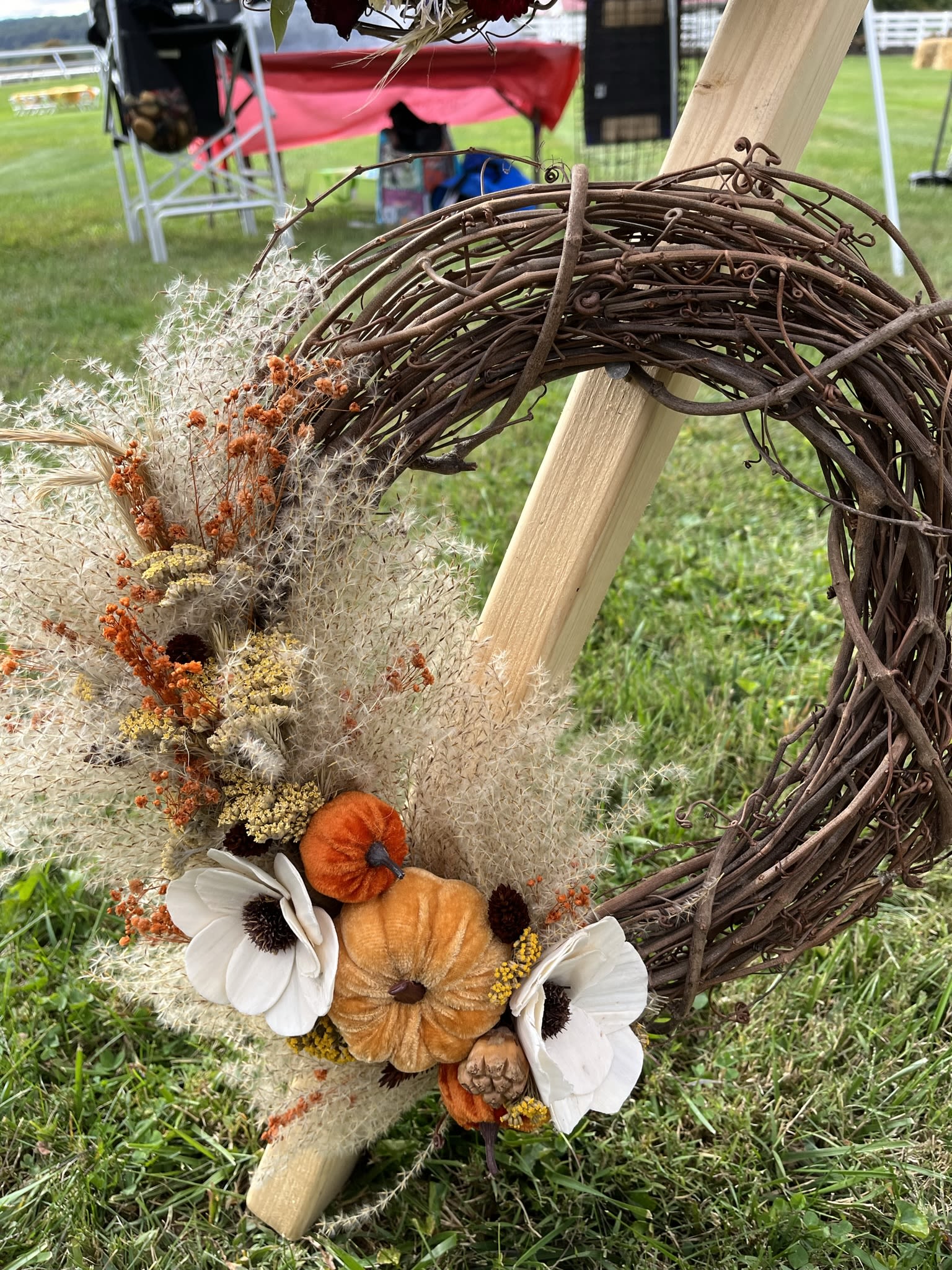 Grapevine Fall Wreath - Grapevine wreath (12") with decorated with grasses, seed pods, dried flowers, wood flowers and velvet pumpkins. Each wreath is uniquely designed and will look similar to the picture.  Wreaths are NOT fresh flowers and will last for years to come if hung inside or in a covered area.  