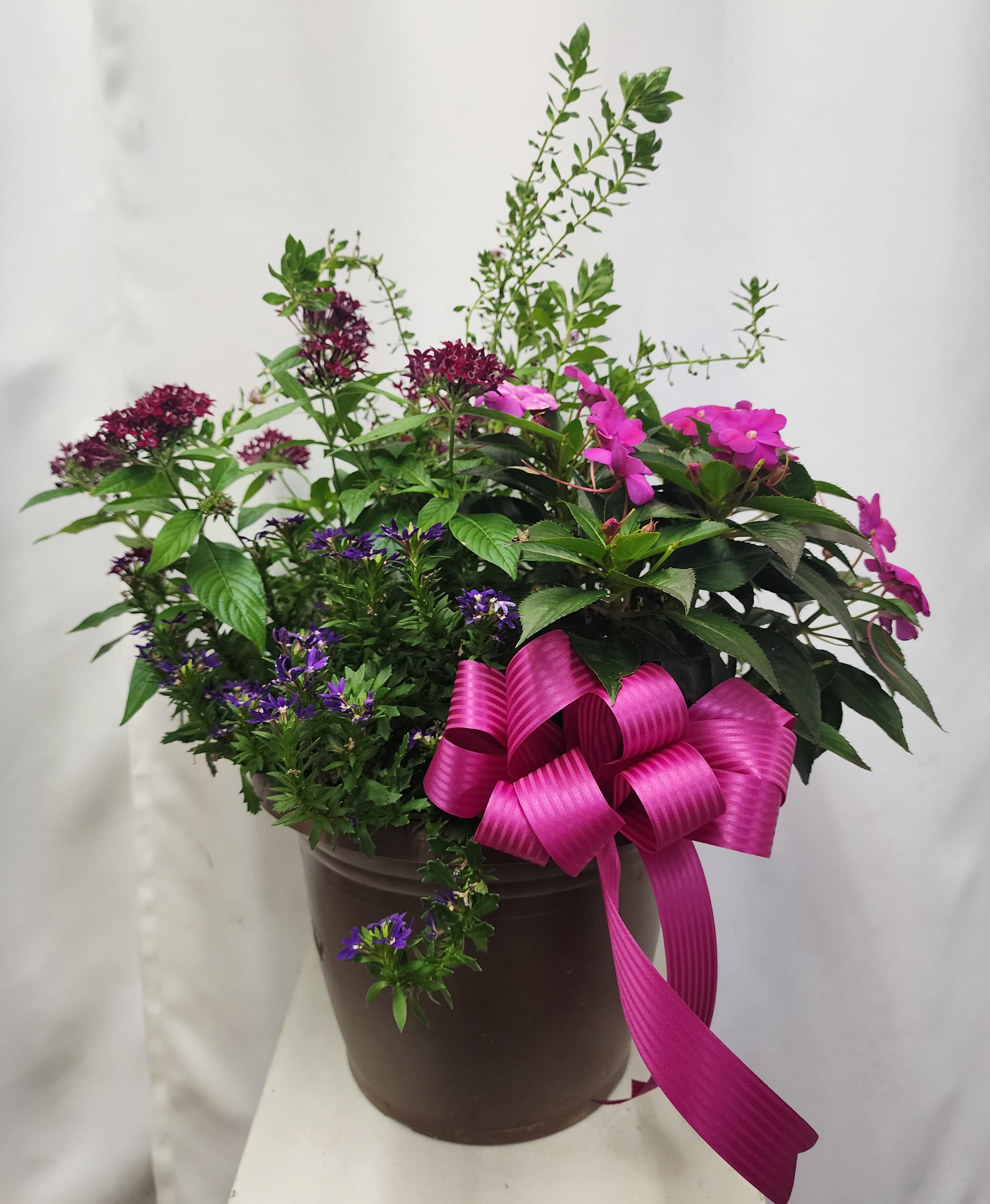 Mixed potted flowering plant arrangement with pink and purple blooms in a brown container