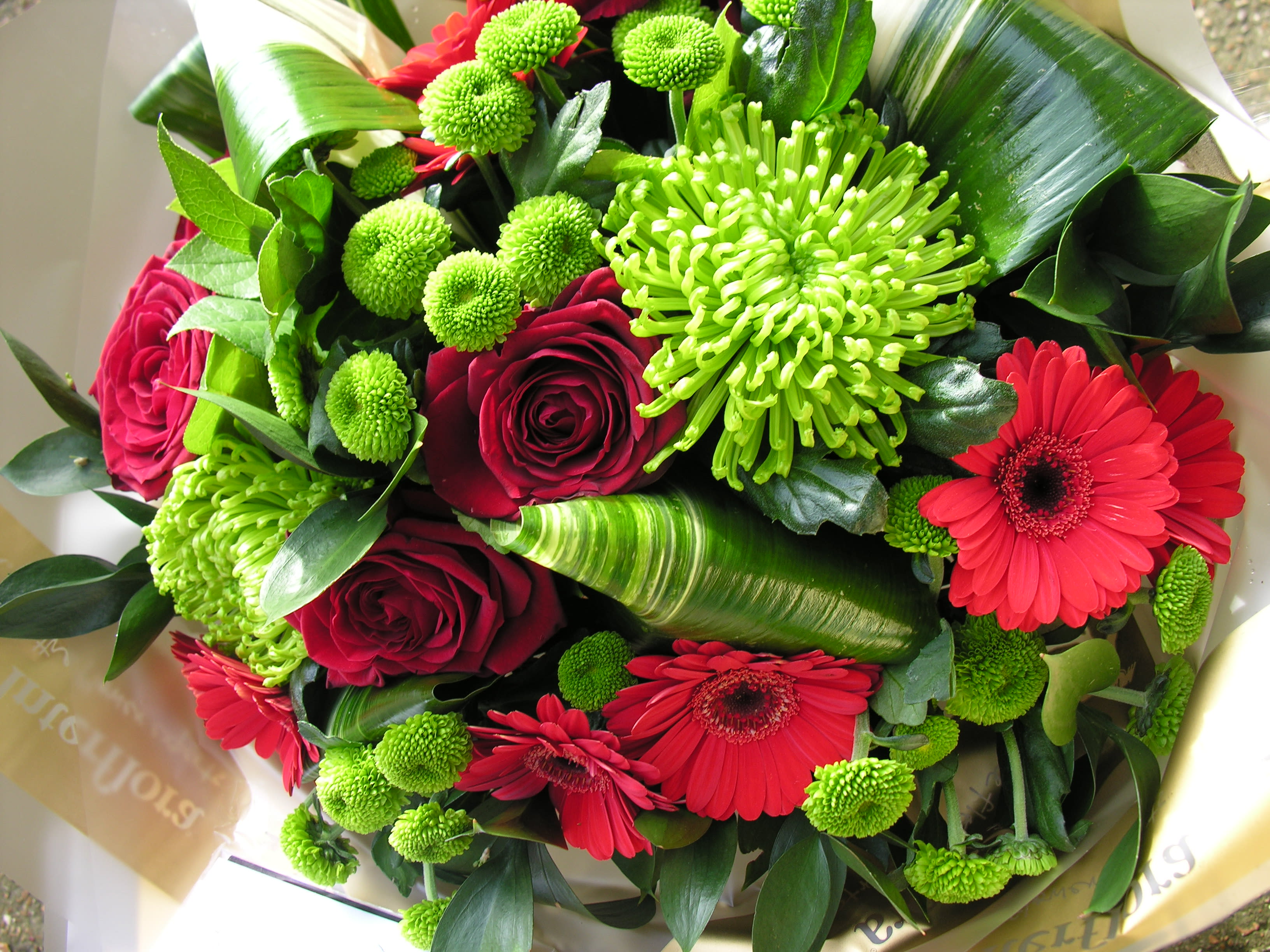 Bouquet of red roses, red gerbera daisies, and green chrysanthemums