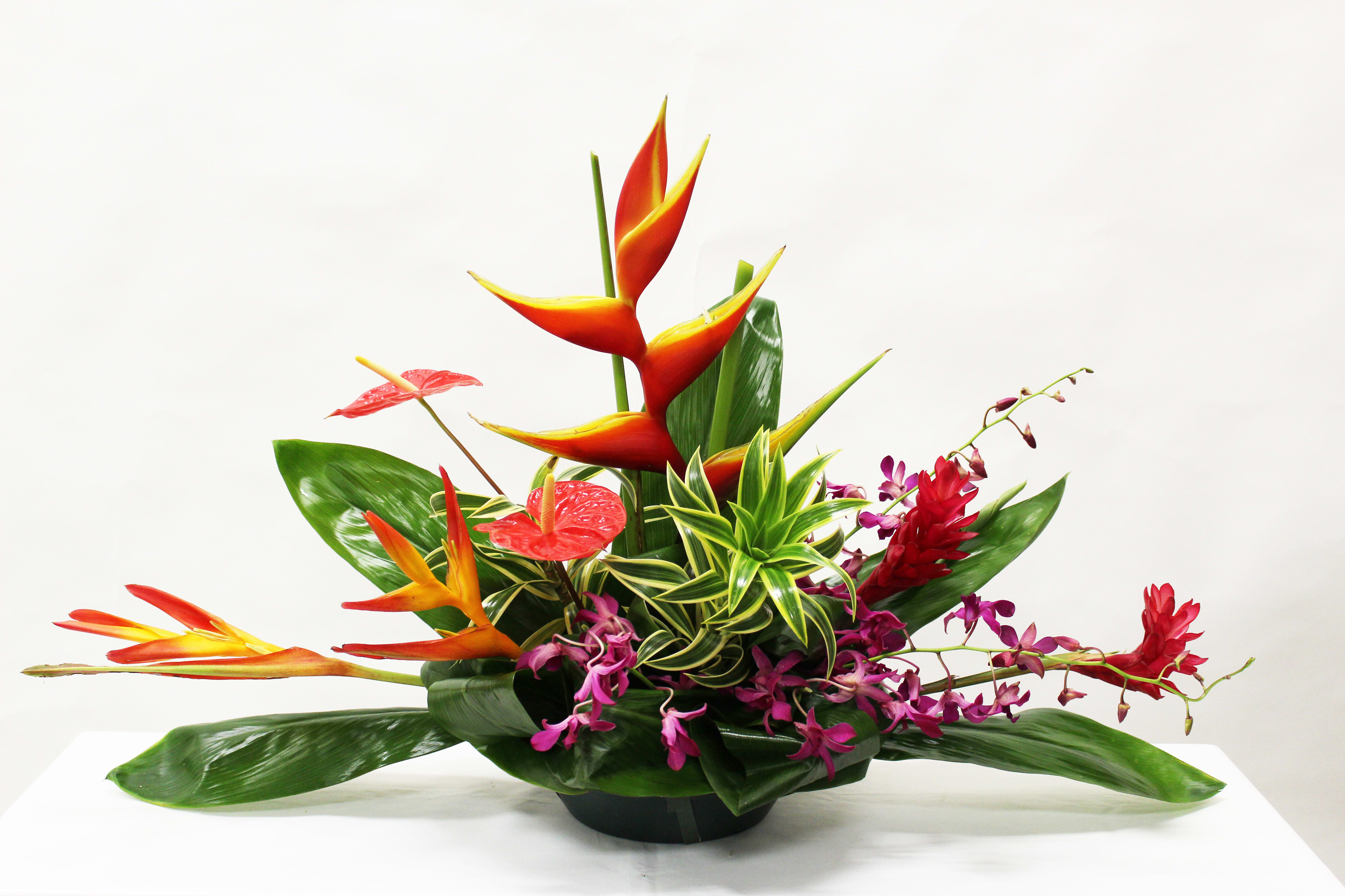 Tropical arrangement with orange and red blooms, purple orchids, and a variegated green plant in a low black bowl