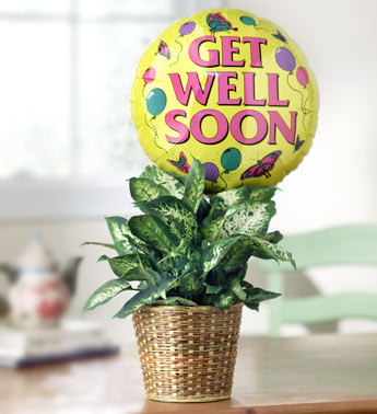 Potted plant in a woven basket with a "Get Well Soon" balloon