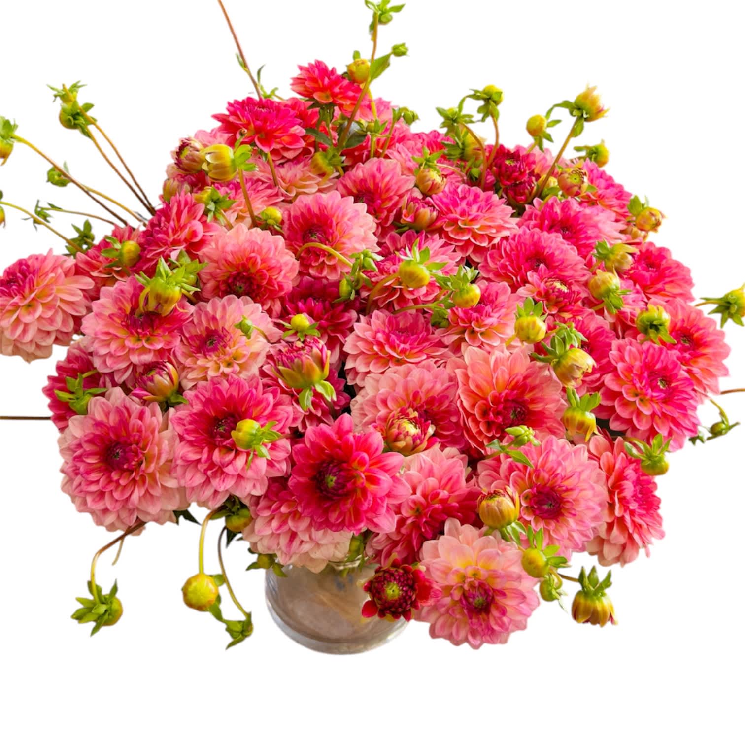 Pink dahlia bouquet in a glass vase