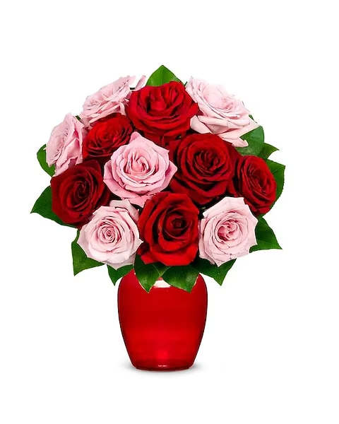 Bouquet of red and pink roses in a red vase