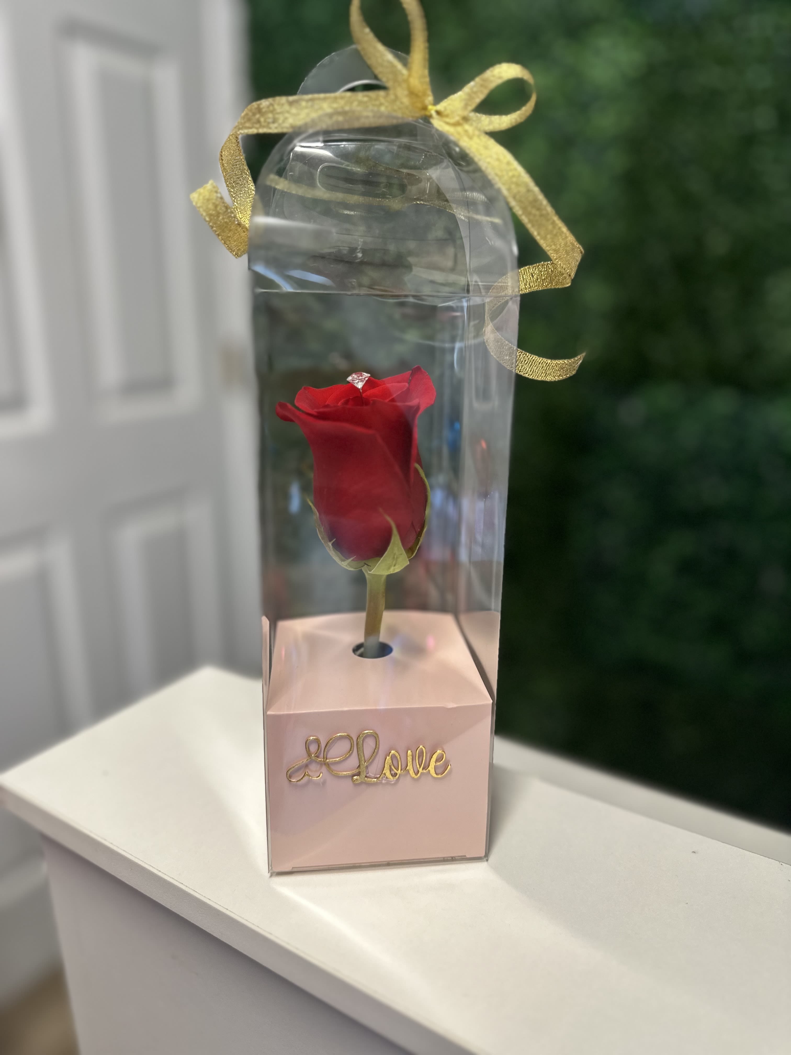 A BEAUTIFUL ROSE - BEAUTIFUL DETAIL OF A ROSE IN A BEAUTIFUL TRANSPARENT BOX WITH A WET INTERNAL BASE SO THAT THE ROSE IS HYDRATED . 
