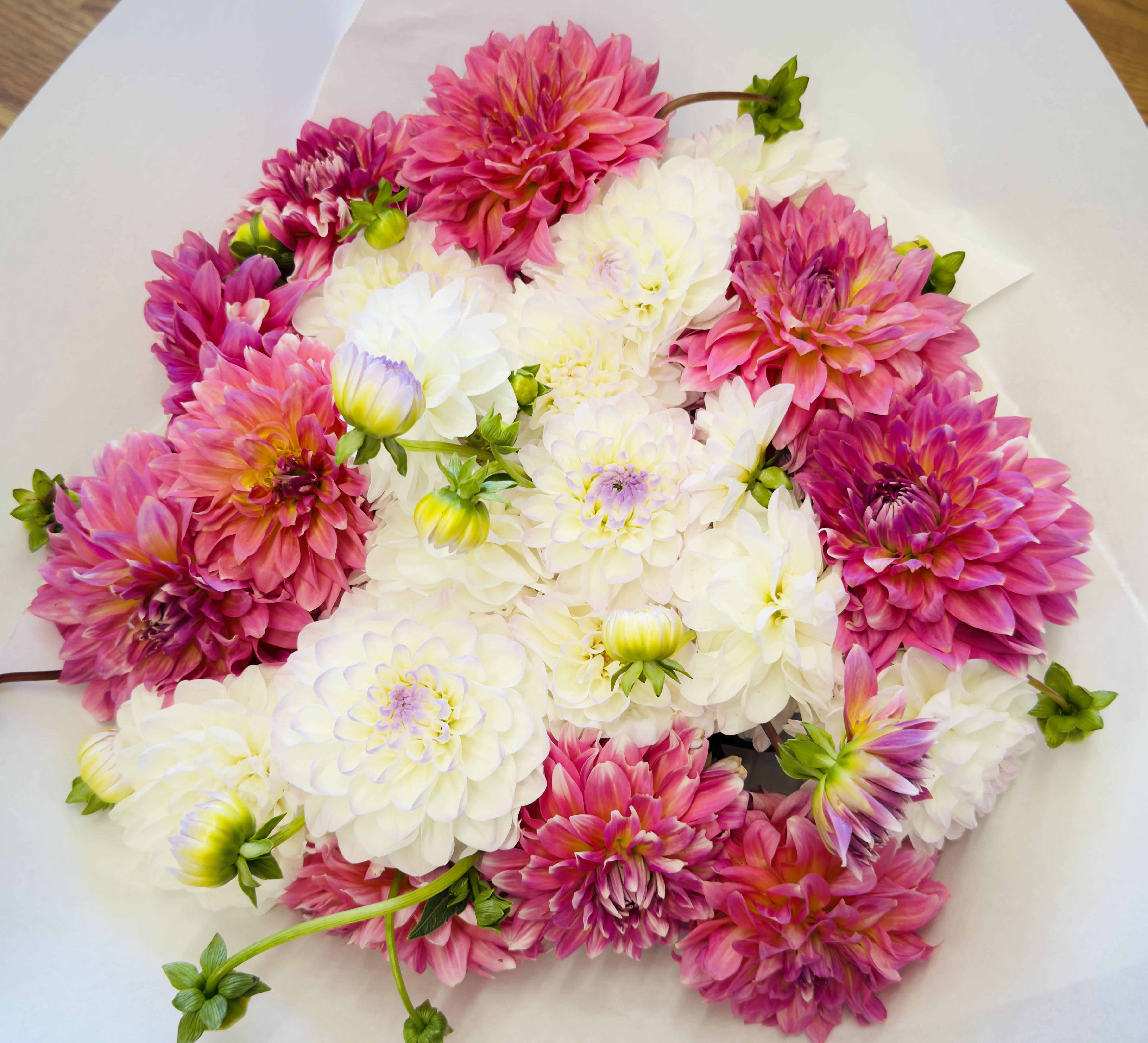 Bouquet of pink and white dahlias wrapped in white paper