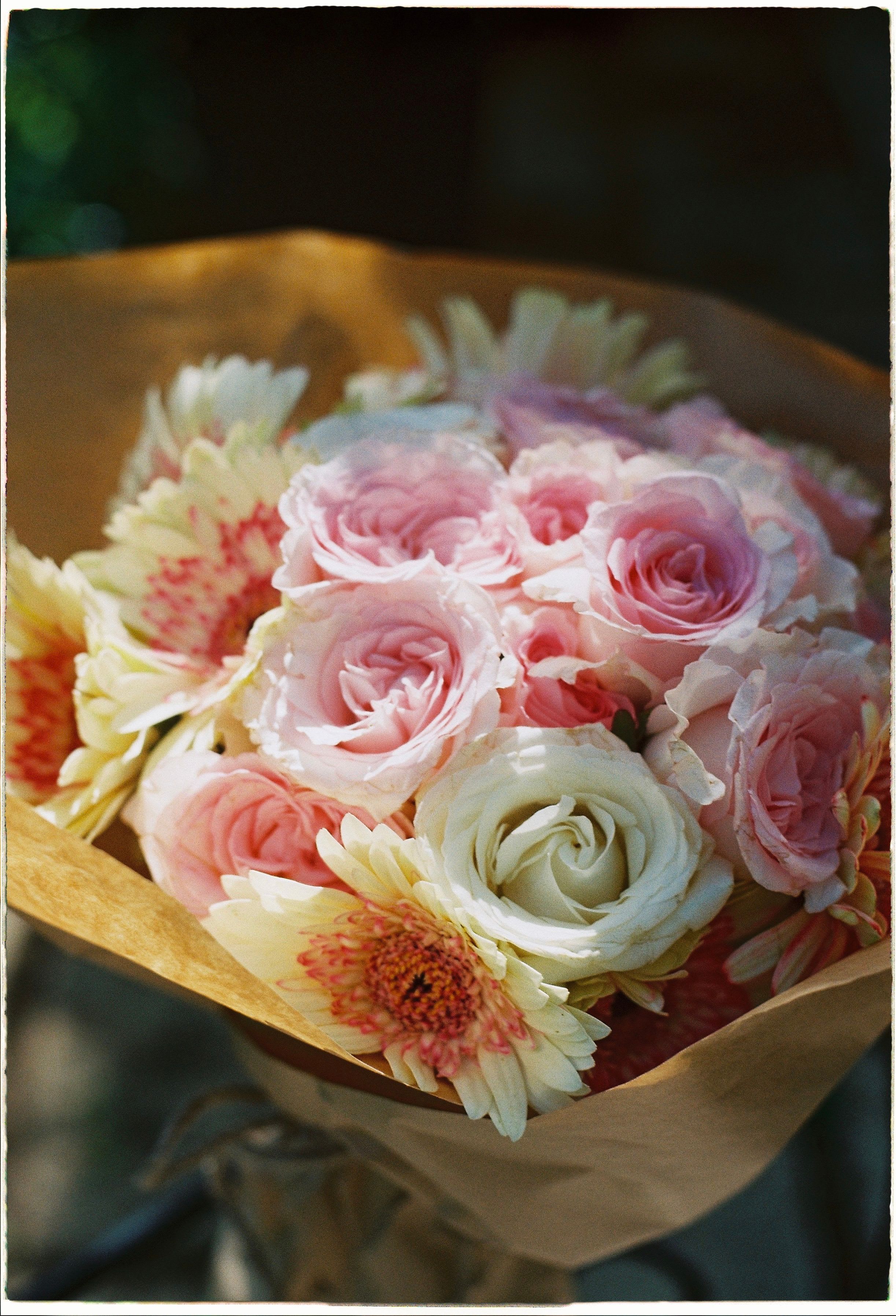 Bouquet of pink roses and pale gerbera daisies wrapped in brown paper