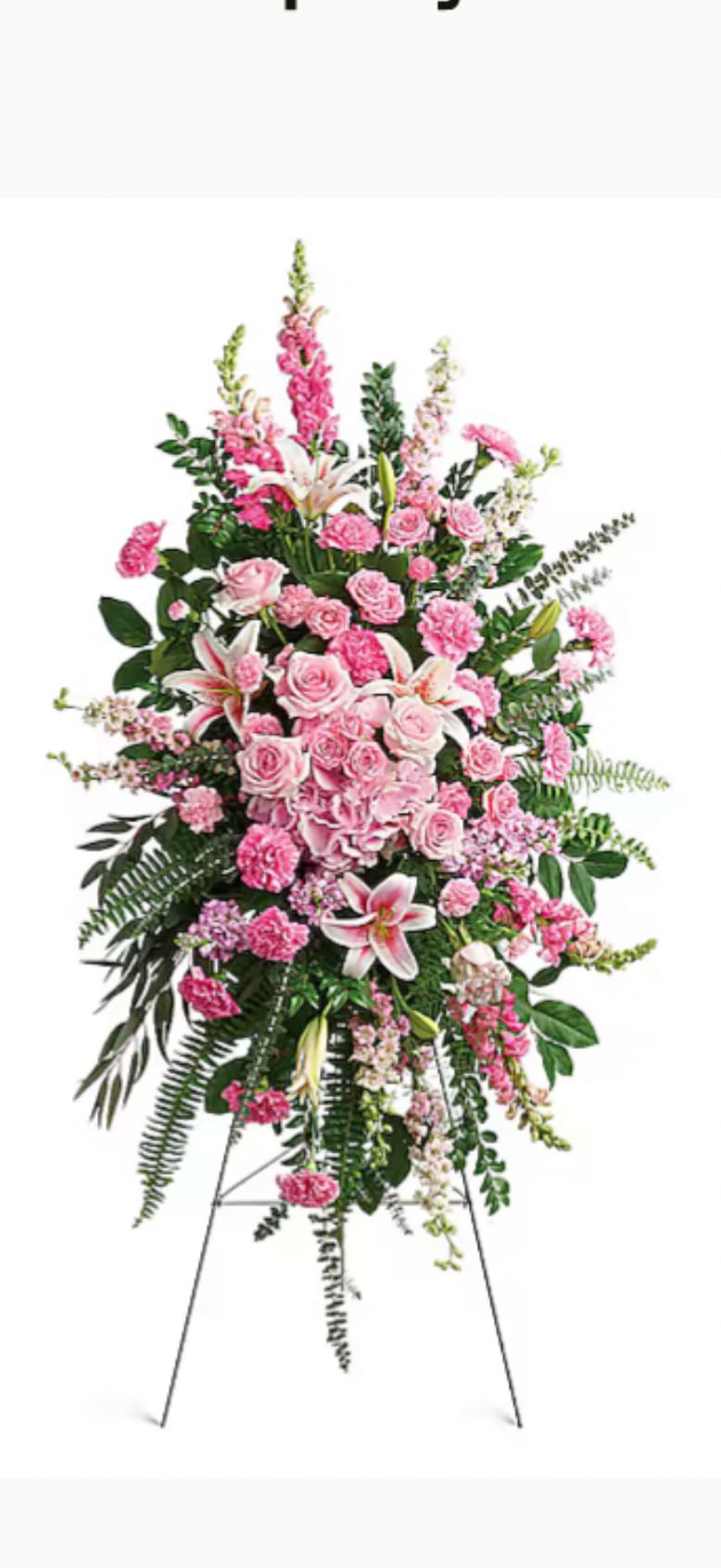 GLORIOUS FAREWELL SPRAY - A lush standing funeral spray in pink, white and green arranged on an easel-designed as a traditional sympathy tribute to honor a life with gentle, ceremonial beauty. The tall, layered oval silhouette centers on a dense cluster of pink roses and pink carnations punctuated by white lilies, giving the arrangement a soft, sentimental presence that reads as respectful and heartfelt for a memorial or funeral service.  The spray's composition is full and vertical, with long sprays of greenery, darker foliage, and smaller filler blooms extending outward for a cascading, formal look. Soft blush and brighter pink tones blend with crisp white accents to create depth and texture; the arrangement is presented on an easel stand for prominent display at a service or graveside.  A thoughtful choice for expressing sympathy, condolence, or remembrance-the kind of tribute that helps the recipient feel seen and supported in a difficult moment. Comes ready to display on the included easel; keep flowers in a cool place away from direct heat while on view, and inform the funeral home of any delivery timing preferences.