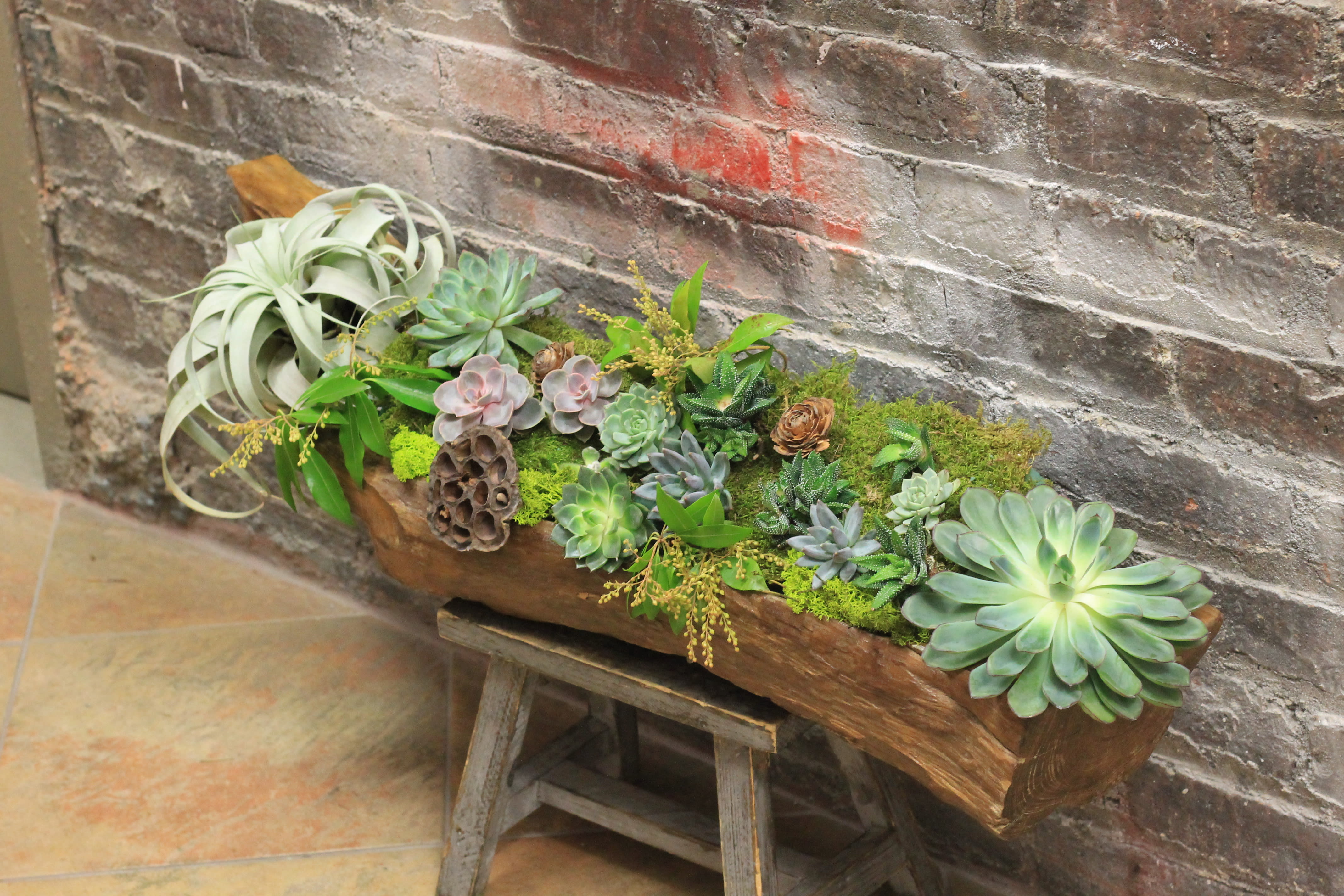 Succulent Driftwood (NOT AVAILABLE FOR SAME DAY DELIVERY) - Succulents and airplant planted into beautiful driftwood. NOT AVAILABLE FOR SAME DAY. PLEASE CALL AHEAD.