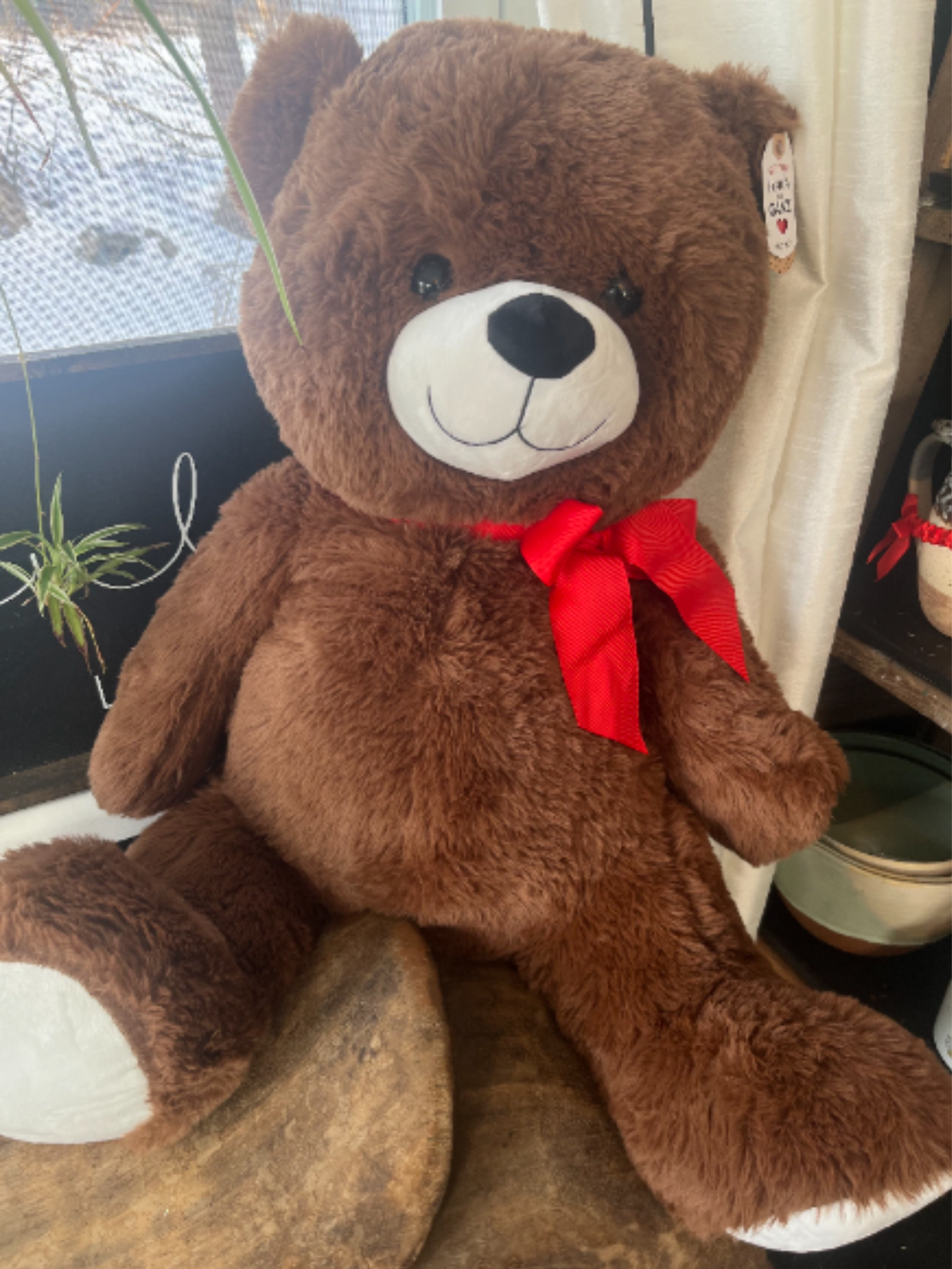22" Giant Teddy Bear - Soft, cuddly, and full of love this 22" teddy bear is the ultimate hug-sized gift!