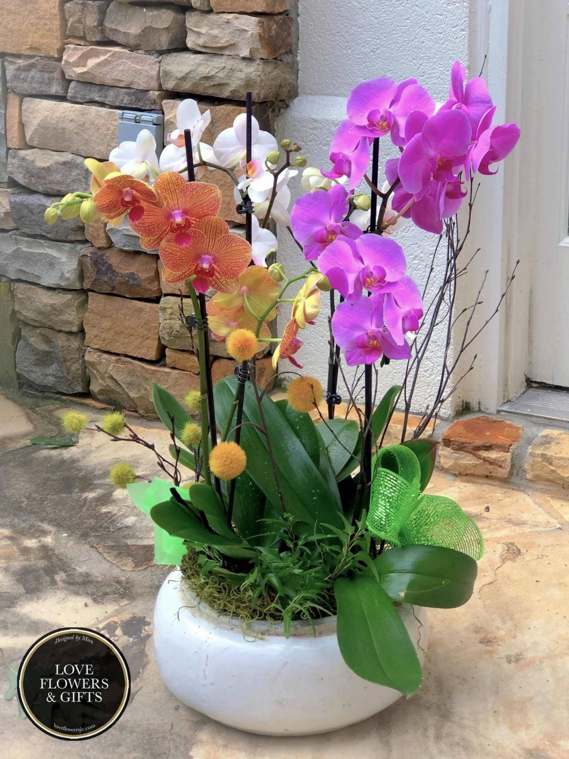 Potted arrangement of multicolored phalaenopsis orchids in a white ceramic bowl with yellow pom accents.