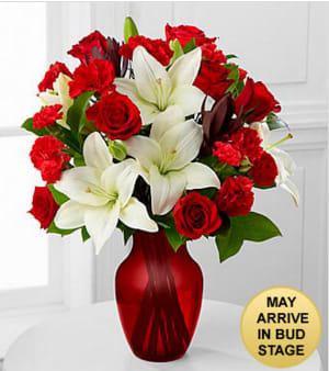 Hearts in Harmony Mixed Flower Bouquet - Picked fresh from the farm to offer your special recipient a gift blooming with romance and sweet affection, our stunning Hearts in Harmony Mixed Flower Bouquet is a classic romantic gesture that will melt their heart at every turn. Hand gathered in select floral farms and flaunting the eye-catching combination of red and white, this stunning flower arrangement has been picked fresh for you to help you celebrate a birthday, anniversary, or to convey your heart's true wish. This bouquet includes the following: red roses, white Asiatic Lilies, red carnations, red mini carnations, and an assortment of lush greens. Presented with a red glass vase.  BETTER bouquet is approximately 18"H x14"W. *May Arrive in Bud Stage. Your purchase includes a complimentary personalized gift message.