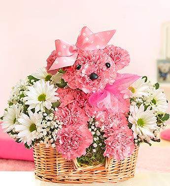 Princess Paws - Product ID: 91886  EXCLUSIVE Add a little princess power to her day with our perfectly pink a-DOG-able arrangement. Hand-designed by our expert florists using fresh pink carnations, daisy poms and more, she arrives on an adorable doggie bed, accented with beautiful pink ribbon to make sending smiles to your princess a true walk in the park. Hand-crafted a-DOG-able arrangement of pink carnations, daisy poms, gypsophilia (aka baby's breath) and variegated pittosporum Arranged in the shape of an adorable dog, complete with eyes, nose and a pretty-in-pink polka dot ribbon Arrives in a willow dog bed basket lined with sheet moss Arrangement measures approximately 11.5"H x 10"L Our florists select the freshest flowers available so floral colors and varieties may vary