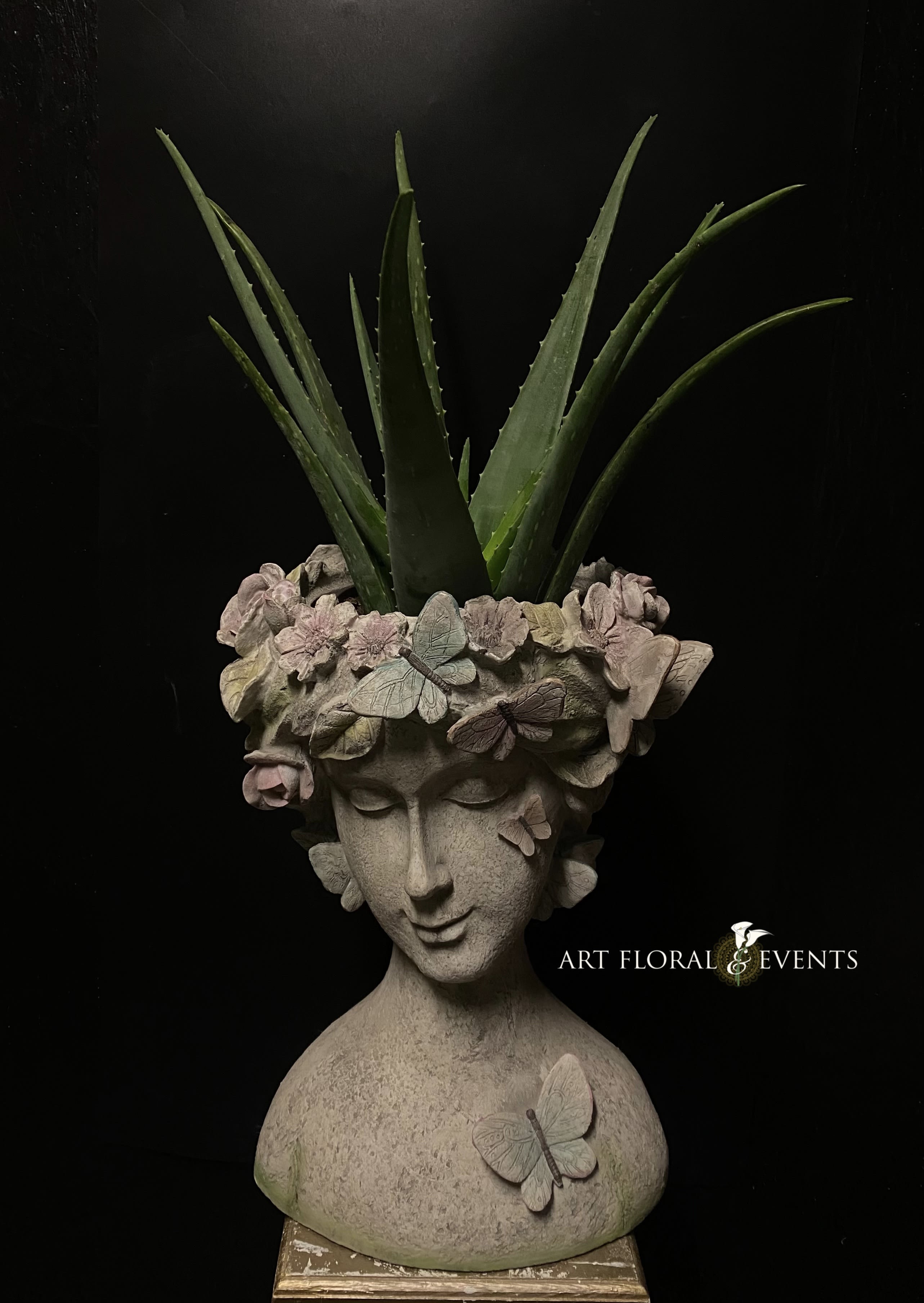 Potted aloe plant in a sculpted face planter with butterfly decorations