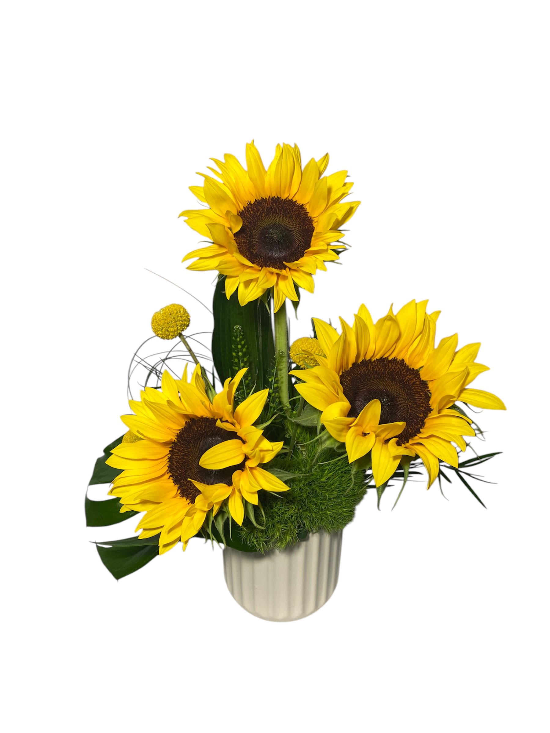 Sunflower arrangement in a ribbed vase