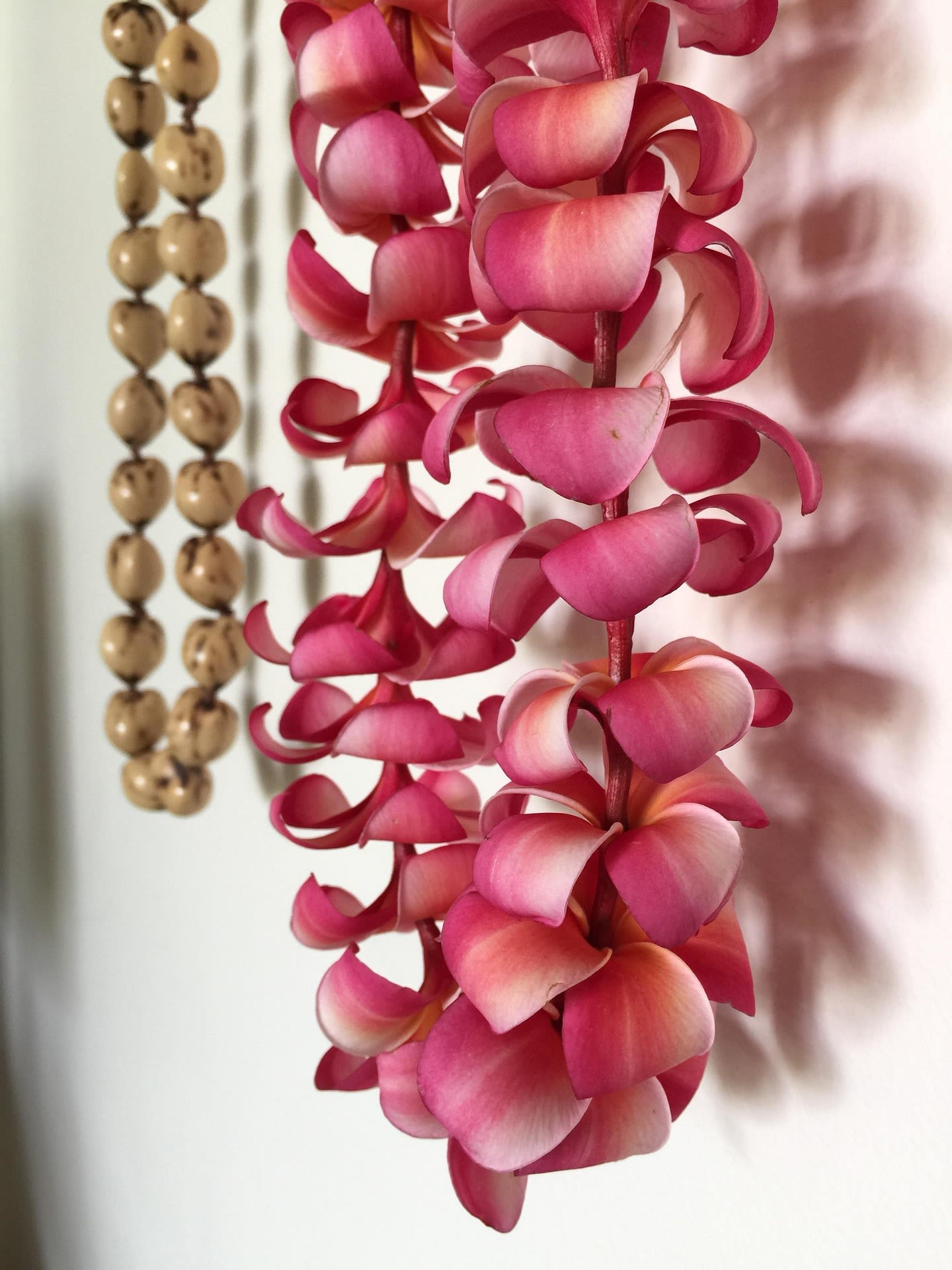 Hawaiian Leis - Share the spirit of "ALOHA" with a beautiful Hawaiian Leis made of tropical colored orchids.  GREAT FOR: CONGRATULATIONS, GRADUATION, WEDDING, ANNIVERSARY, CORPORATE EVENTS and more. Please NOTE** Petals &amp; Blooms Flowers respects and honors of the customs and beliefs of the Indigenous people, therefore in honor of their customs, we do not recommend this product (Lei āʻī) be given to a pregnant woman.  **NOTE** Please do not send color requests in note to florist at checkout, no color requests accepted for this option as Leis vary in color, according to availability. 