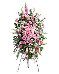 The Solace Spray  - A multitude of pinks, in all shades.