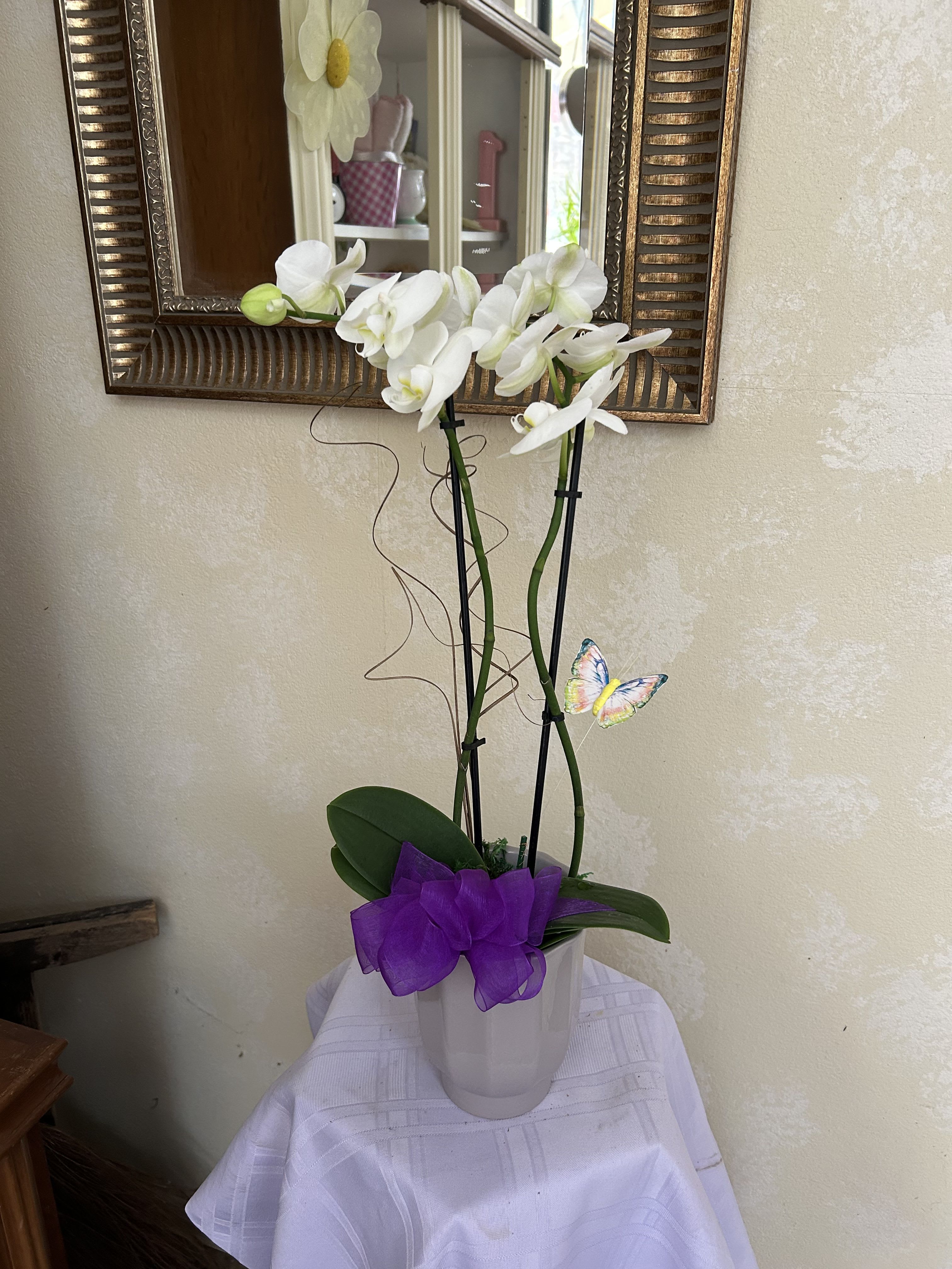 White orchid arrangement in a white pot with a purple bow