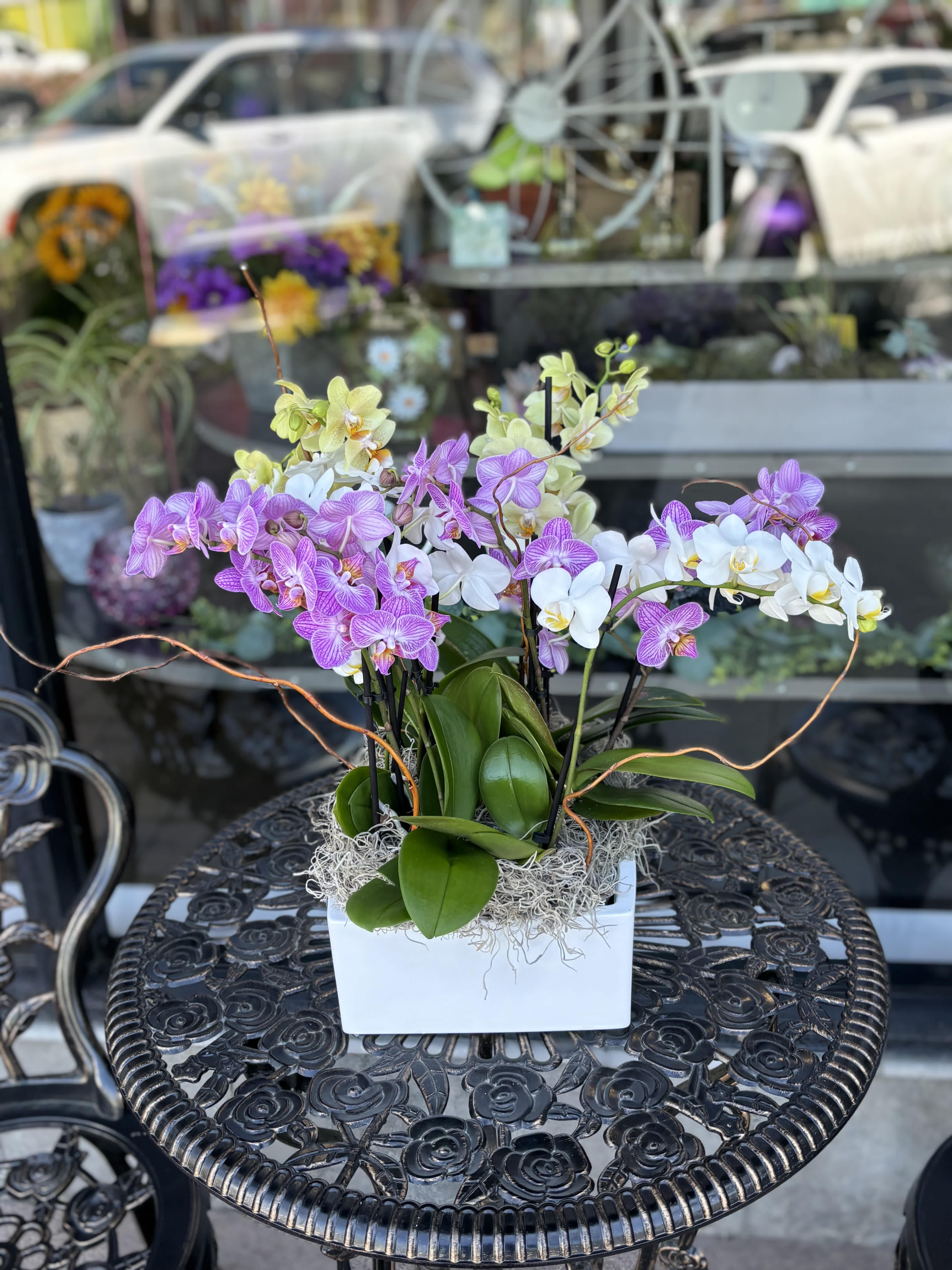 Potted orchids in purple, white, and yellow in a white rectangular planter