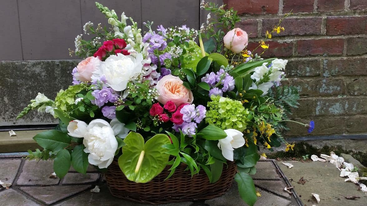 English Garden in Wicker - Lush, lovely and abundant blooms effortlessly mix in this luxury garden basket.  We start with the highest -quality wicker basket and add the prettiest blooms one by one. We stop when we have a masterpiece!  We will choose the best blooms at the height of their blooming season but expect to see garden roses, hydrangea, ranunculus, dendrobium orchid and spray roses. (This is a very large and lush arrangement.....36" high and about 44" tall). We can make it smaller. Just ask us and we will adjust the price for you!