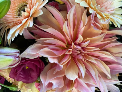 DAHLIAS for you! - One of my favorite flowers, the dahlia is now in season! And we have a special local dahlia grower who has carefully chosen her favorite varieties to breed over the years.  Wait until you see them. Spectacular! Arranged in a clear medium vase.